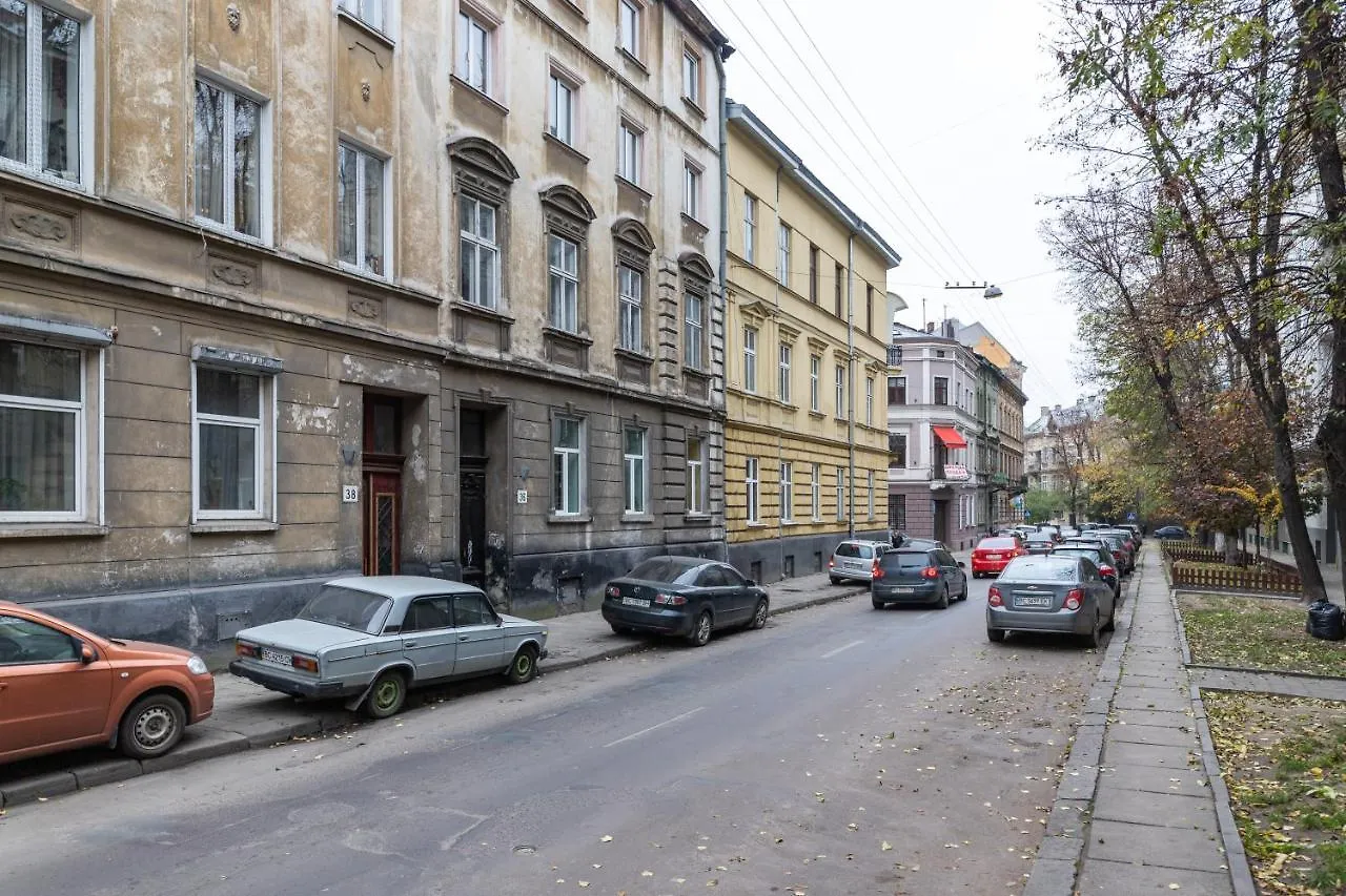 Modern Studio Apartment In The City Of Center Lviv